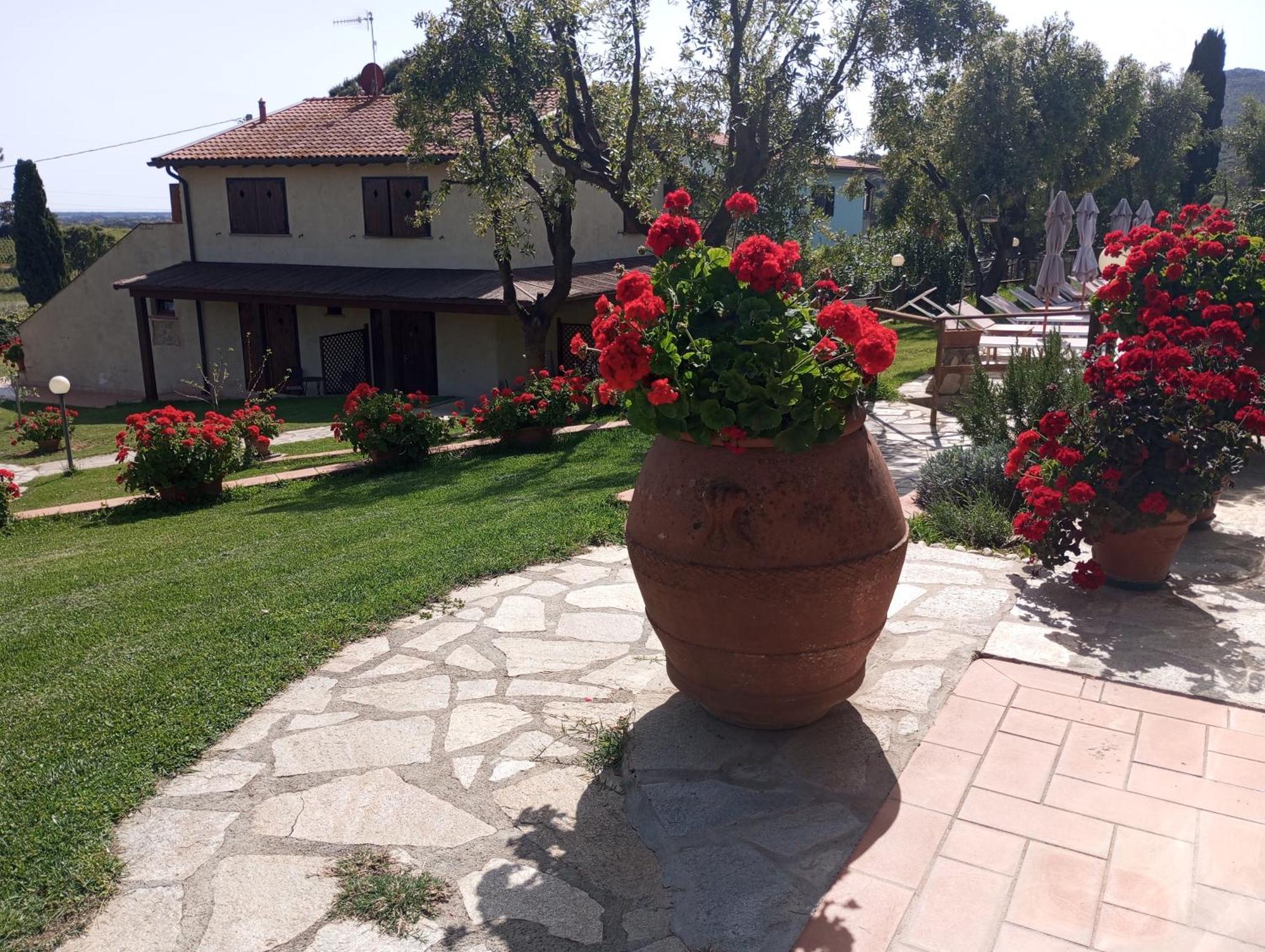 קסטליונה דלה פסקאיה Agriturismo La Luciana מראה חיצוני תמונה